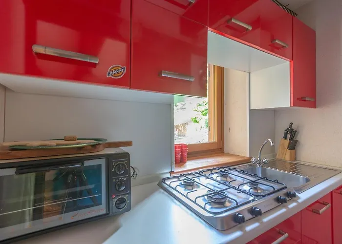 Joivy Big Flat For 6 With Backyard And Parking In *